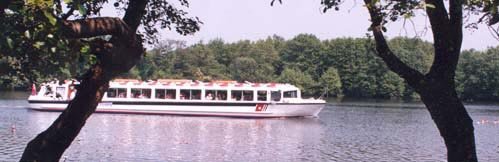 A Cruise