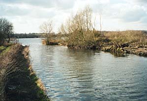 One of the rivers in the Broads